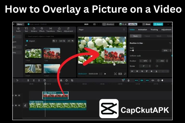 How to Overlay a Picture on a Video in CapCut 2026